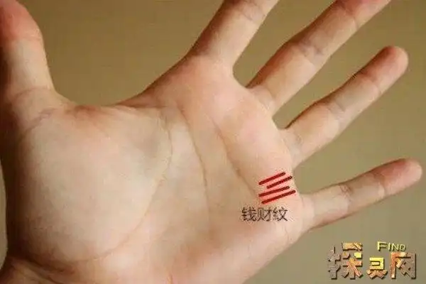 女人有大财的手纹五种发财手相一生大富大贵