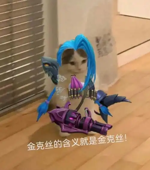 英雄联盟猫猫表情包第四期