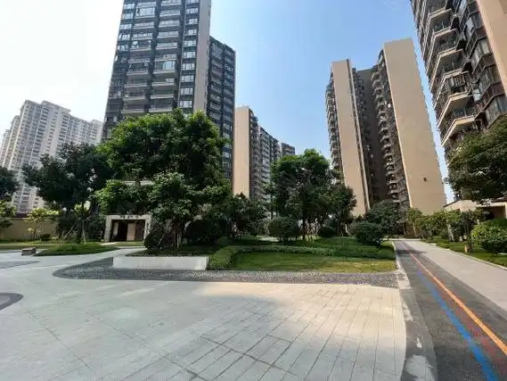 南宁江南沙井大道龙光江南院子急租 非中介 不收中介f 实拍图片 配