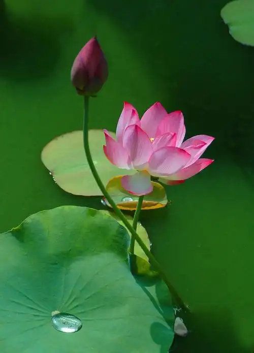 风景精选的照片 - 微相册