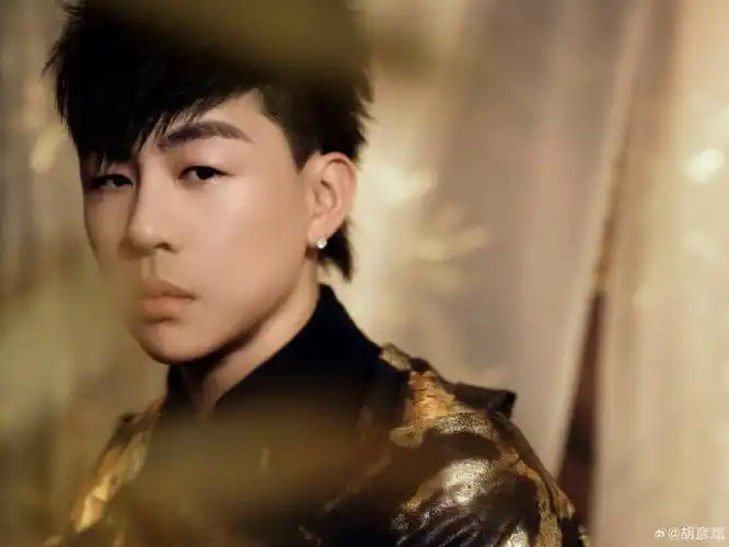 胡彦斌2024是一场烟火巡回演唱会##胡彦斌成都演唱会