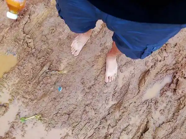 一天栽不完第二天还可接着栽, 直到栽到你高兴为止, 光脚踩泥巴,稻田