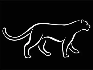 黑色背景黑豹白色剪影照片