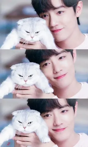 肖战- 堆糖,美图壁纸兴趣社区