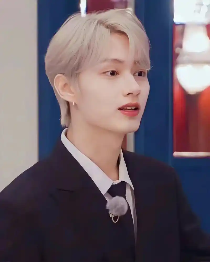 西装猫猫统治世界! #seventeen #文俊辉 #kpo - 抖音