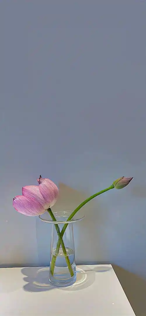 壁纸丨全面屏壁纸