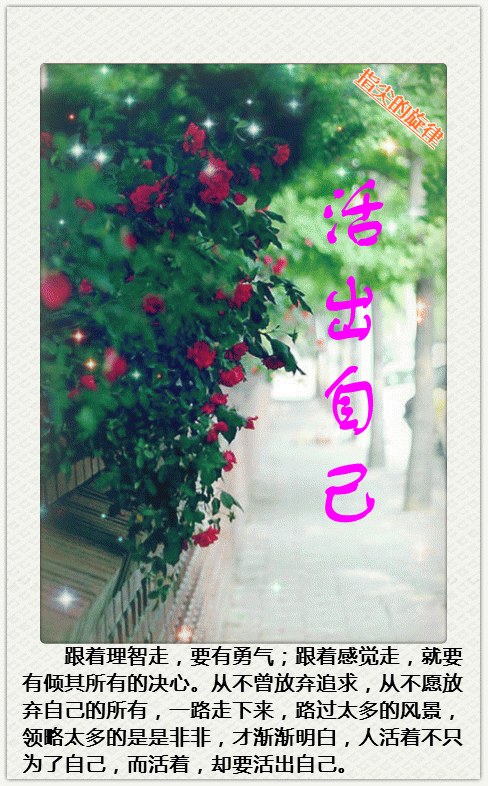 荷塘活出自己小说