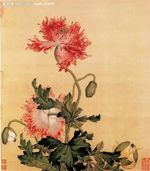 郎世宁花鸟图之图片