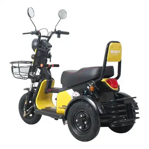 代步车带棚同款电瓶车电三轮休闲轻便三轮摩托车标准版60v600w裸车