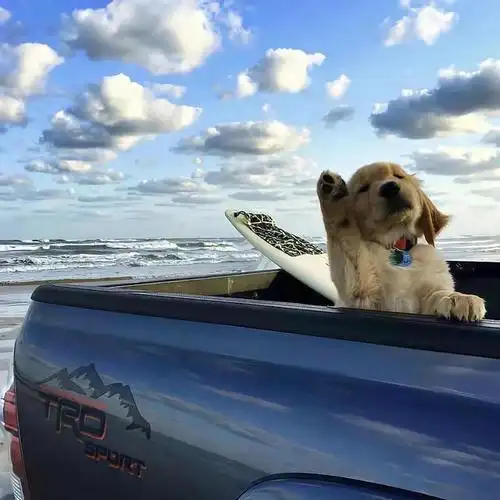 抖音很火的句子|你慢慢敷衍,我慢慢退场