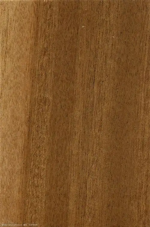 深棕色和浅棕色的图片,浅棕色颜色大全图片-图片大观-奇异网