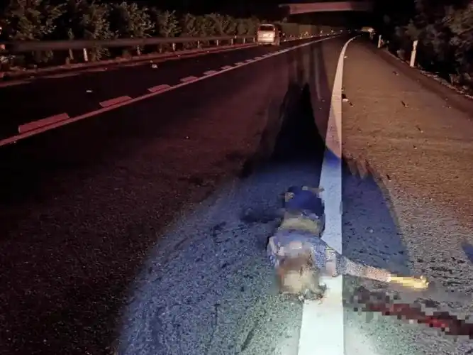 事故现场图片来源:广西贺州交警昭平要闻●突发!