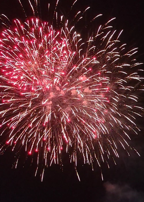 2021年12月31日-2022年2月15日,一共12场精彩烟花大秀不容错过,新鲜