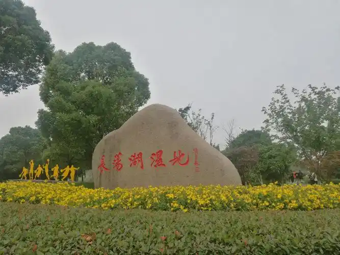 上午游览长荡湖湿地公园