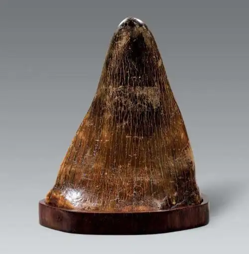 别名:犀牛角:暹罗角(暹罗,泰国的曾用名).