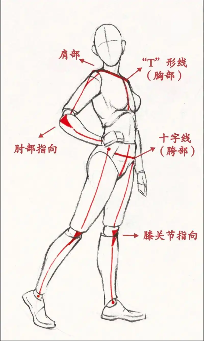 美术绘画之速写,体块理解与认识,及速写绘画思路