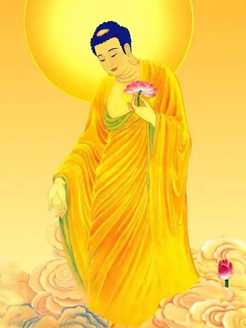 年末结转和结余万元