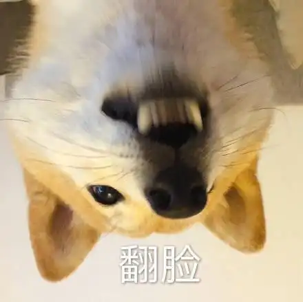 汪星人dogedoge汪星人表情
