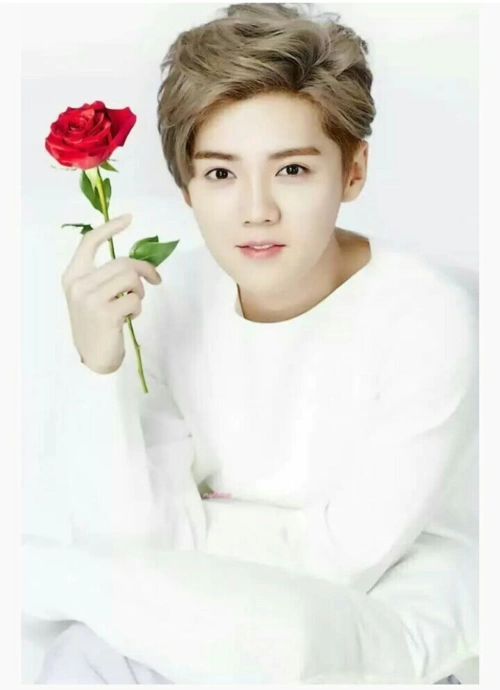 鹿晗今年的个人经历怎么样?