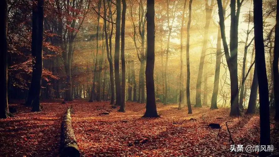 抖音最火闺蜜句子(简单干净的短句闺蜜)