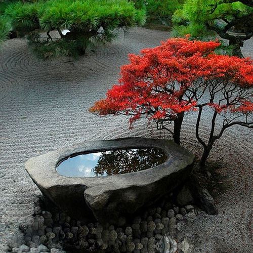 户外景观石钵流水摆件日式水景石槽户外庭院花园石盆鱼缸石缸园林