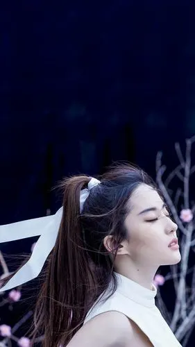 刘亦菲 - 堆糖,美图壁纸兴趣社区