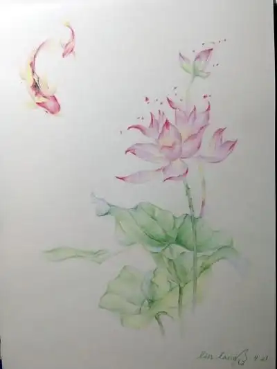 彩色素描荷花简笔画大图
