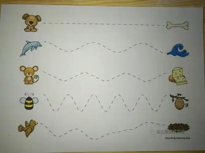 玩法:幼儿用记号笔将虚线连接起来
