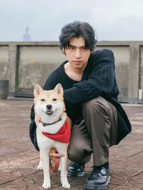 陈柏霖为啥不会老