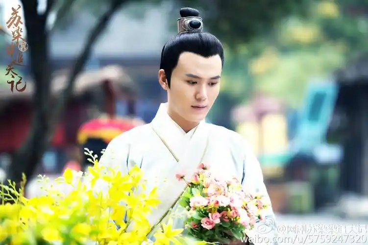 《苏染染追夫记》是北京壹加传媒有限公司承制的古装武侠网络剧,由 a