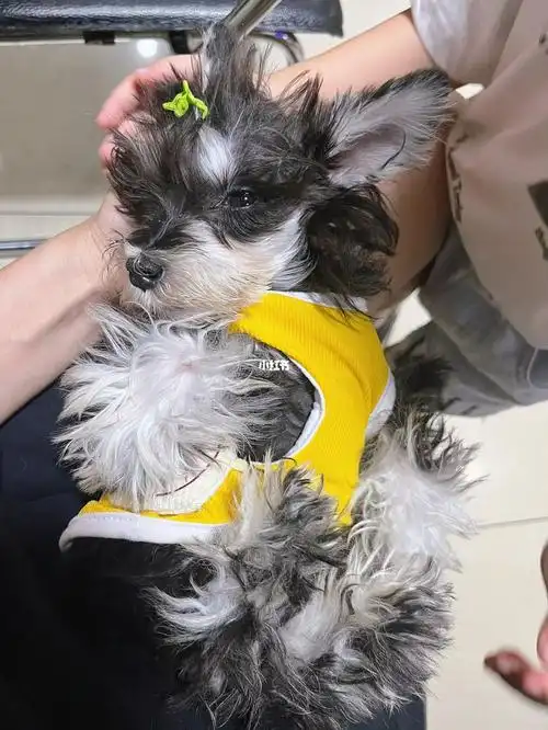 从前的我现在的我0169