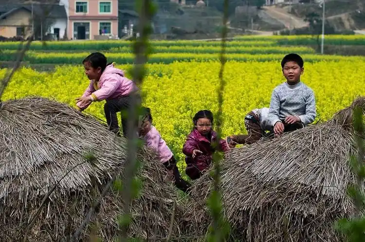 【转载】激发你儿时的记忆--乡村的故事