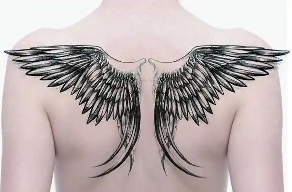 男生后背翅膀纹身图案大全