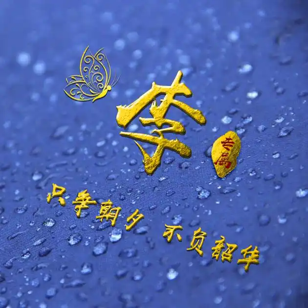 励志专属,只争朝夕不负韶华-微信头像,百家姓氏微信头像,名字壁纸