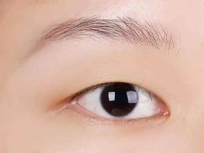 三分钟包教包会,年度最佳眼线画法都在这里!_单眼皮