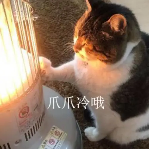 一到冬天,手超冷