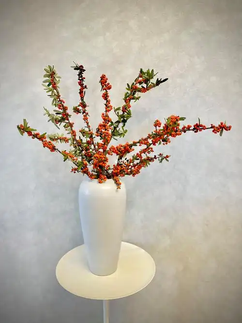 插一瓶火棘果,饮一杯咖啡7515岁月安好#我的宅家日常  #插花