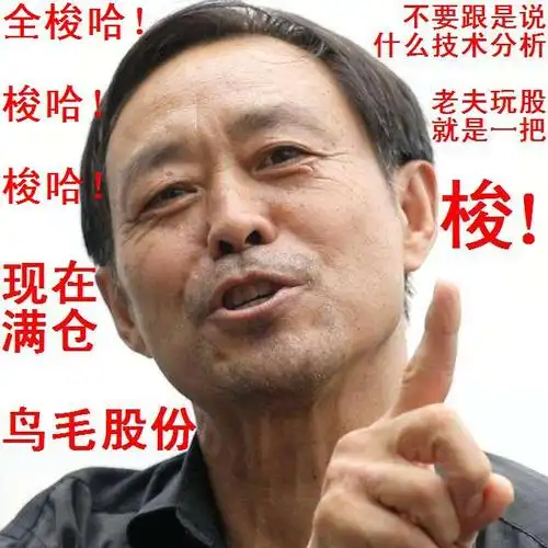 老夫玩股就是一把梭!现在满仓鸟毛股份.全梭哈!梭哈!梭哈!
