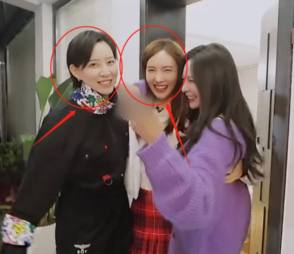 金晨约会的新男嘉宾太帅初次见面就心动李斯丹妮都忍不住要看