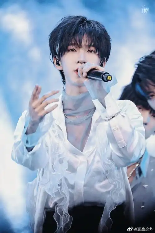 贺峻霖 画报颜值