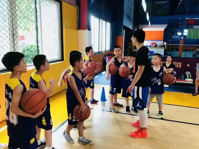 众睿体育篮球班春季招生