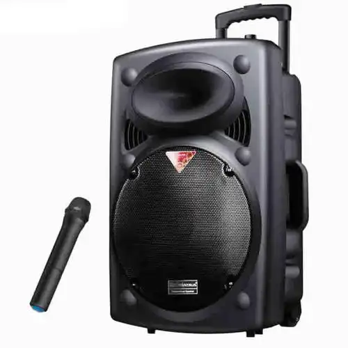 金正广场舞音响大功率15寸户外拉杆插卡便携式电瓶街舞店铺音箱