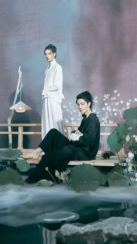 【壁纸】明星cp壁纸/我愿博君一肖