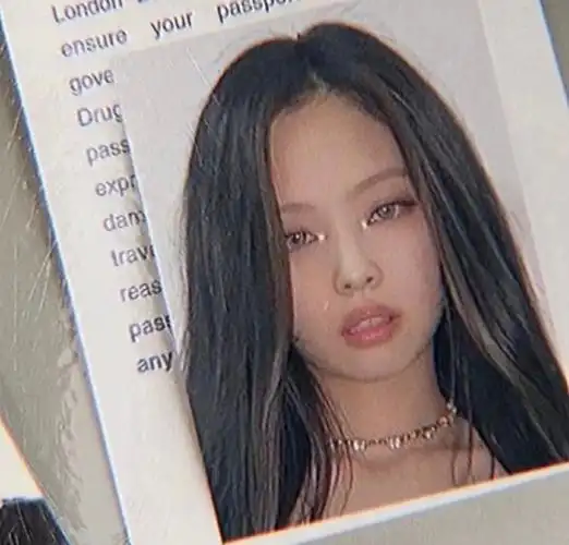 jennie jisoo lisa rosé 证件照 ins blackpink