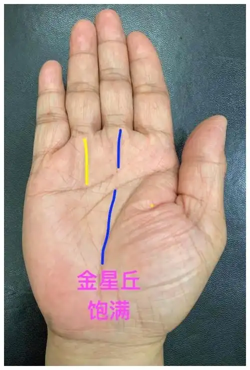 金星丘特别的饱满,生命线所包裹的范围也比较大,为人慷慨大方,精力