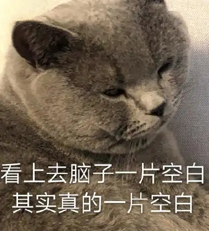 看上去脑子一片空白,其实真的一片空白 - 都是猫咪表情包