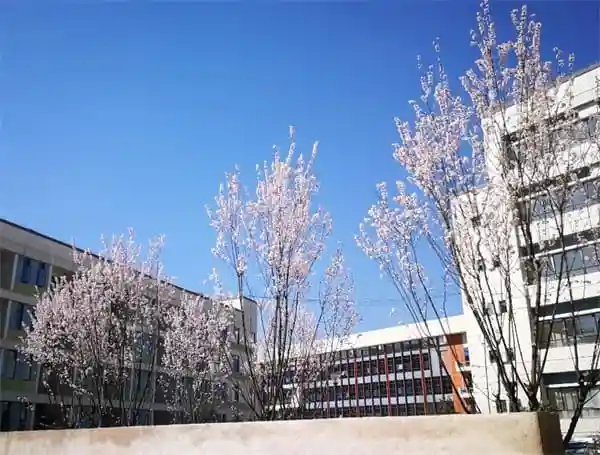 黔南州布依族苗族自治州贵定师范学校好吗学校地址在哪里