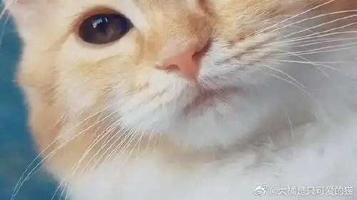 她的关注(574) 我是王泡芙 妇女能顶半边天robot 弦子与她的朋友们