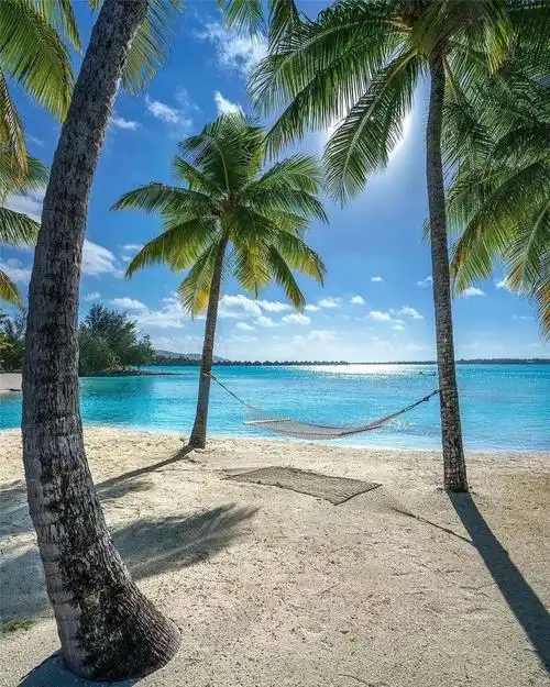 椰树,海滩,惬意!