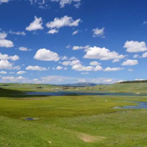 清新绿色风景头像绿色辽阔的草原风景图片